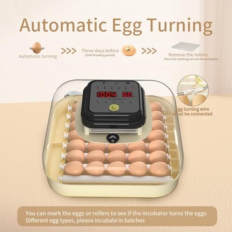 عربست حاضنات هيثيا لتفقيس البيض، حاضنة بيض مع دوران البيض التلقائي والتحكم في الرطوبة، حاضنة مع شمعة بيض للدجاج والبط والاوز والسمان (35 بيضة) - Image 3